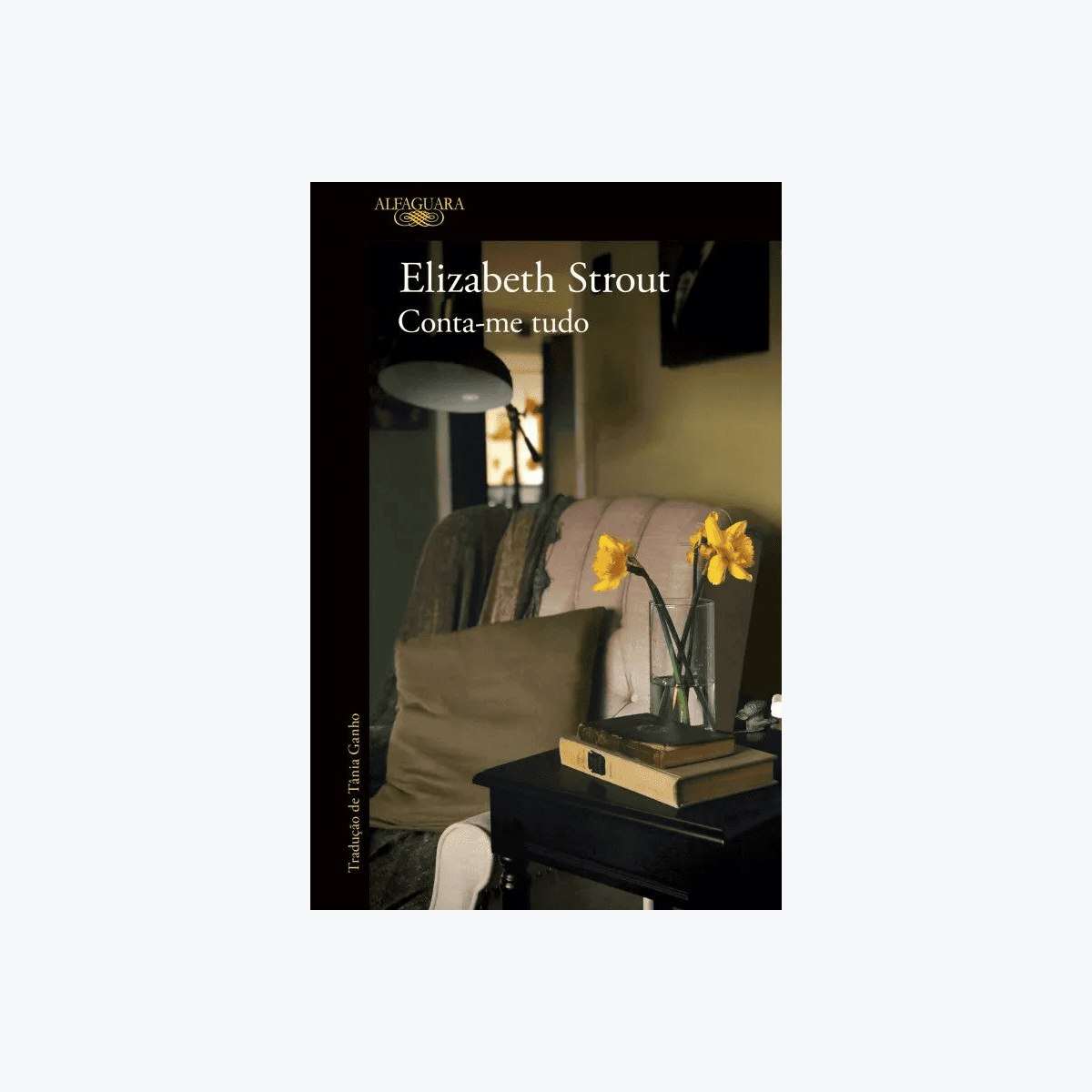 Livro, Livraria Almedina